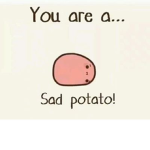 We are The Potato Warriors