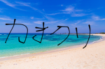ロールプレイすみっこの島