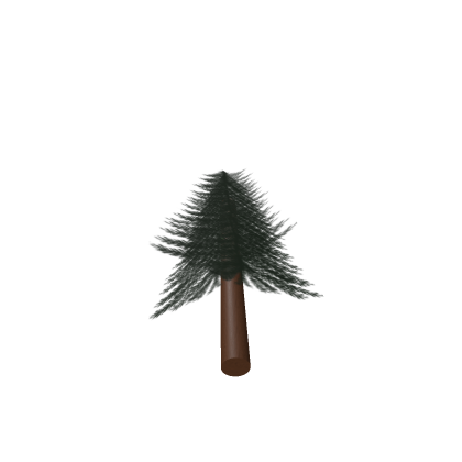 Pine tree.