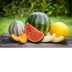 Melon_Melon