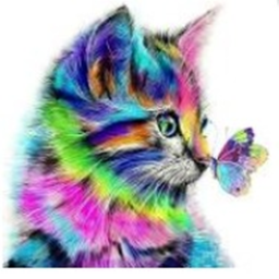 Rainbow Vibes & Butterflies - LGBTQIA+