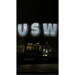 Ultimate Street Warriors #####