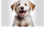 HappyPups Studio!
