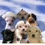 El Cartel de Eso Tilin