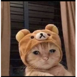 ʟᴏsᴇʀs