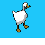 HONK studio