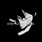 SwagZone