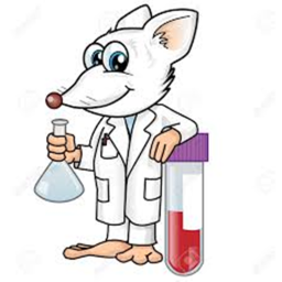 Rat Test Facility