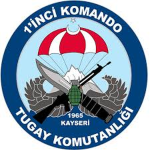| TSO | 1. Komando Tugayı