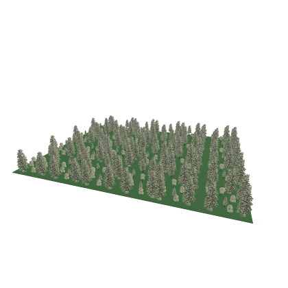 Forest ASMR :/