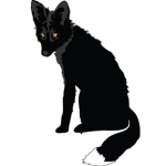 black foxy