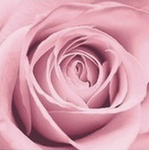 La Vie en Rose (Sunday)