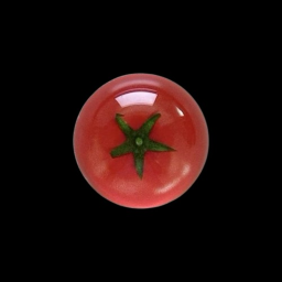 disc