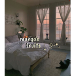 Mango's Fruits
