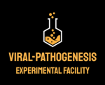 Viral-Pathogenesis Experimental Facility