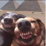 Ello_ppl_