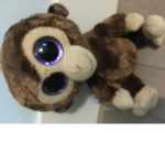 The MONKEY Humans
