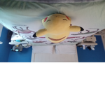 Hi Robin_doll