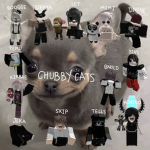 chubbycats'