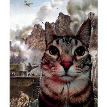 Inspect Jungle Army