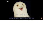 로벅스는 위대하다