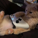 R0ZE$ GAMES