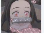 Vuxleo
