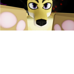Furry Maze