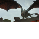 Team Dragon###