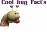 Cool bug facts