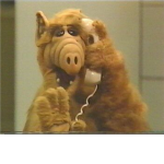 ALF lovers group