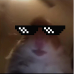 J_plays