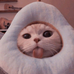 patorex