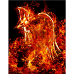 E.F.B. (Elite Firebirds)