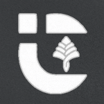 Cascadia Interactive
