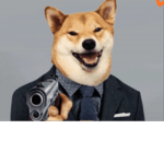 Doge Krew