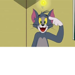Tom Cat United
