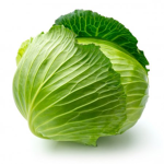 Cabbage-Group