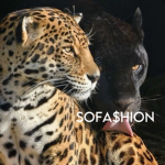 SOFA$ION