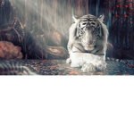 Whitetiger Gaming