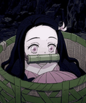 |~nezuko’s clothes shop~|
