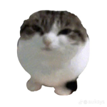 mvrtality