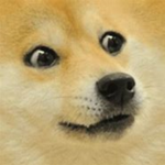 d0ge community