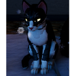 warriorcats roleplays