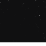 Clownyz