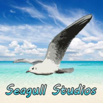 Seagull Studios