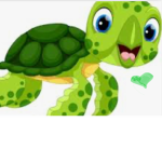 L.L turtle twins
