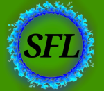 Sword fightning league
