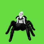 ON THE MOON STUDIOS Group Thumbnail