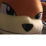 Pokémon Fan Gang